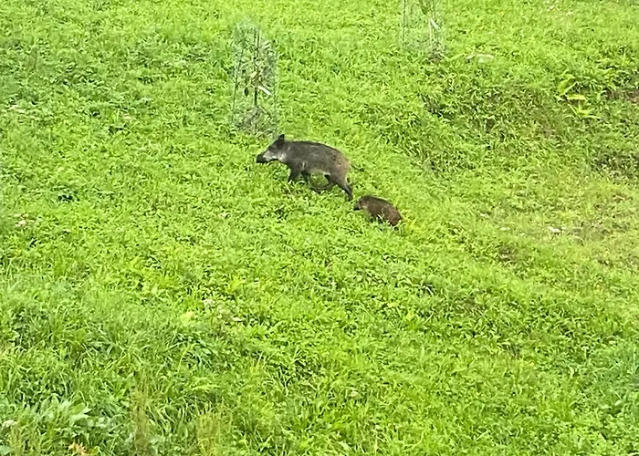 Caserio Ea アパート *