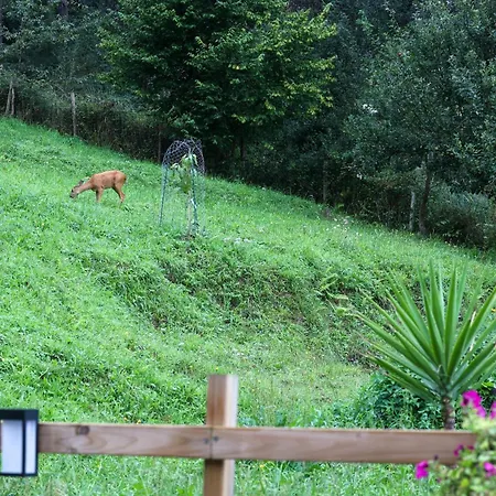 アパート Caserio Ea エア