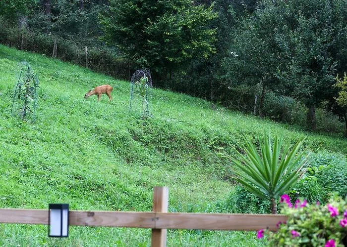 Lägenhet Caserio Ea Ea